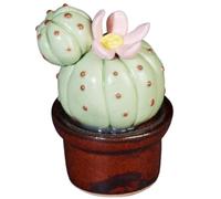 LJJCSFF Mini figuras de plantas de cerámica de cactus de imitación surtidas suculentas artificiales de cerámica, flores suculentas, plantas falsas 3D hechas a mano de cerámica suculenta