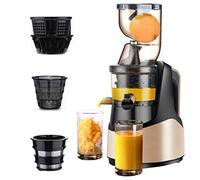 LJXX, Máquina Exprimidora Automática de Frutas y verduras Enteras, Extractor Rápido de Jugos para el Hogar y la Fiesta