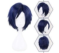 LJYNB My Hero Academia Iida Tenya Cosplay peluca azul pelo corto resistente al calor pelo sintético fiesta de Halloween Anime Cosplay disfraz peluca