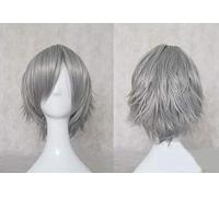 LJYNB Pelucas de Cosplay de Gokudera Hayato Sasagawa Ryouhei Gilbert Beilschmidt, pelo corto gris de fibra de alta temperatura + red de pelo gratis