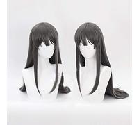 LJYNB Rascal no sueña con la conejita Senpai Sakurajima Mai, pelucas de cosplay, pelo sintético, pelo largo y liso, gris + red para el pelo gratis