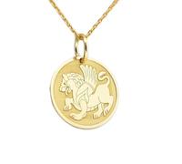 LKBEADS Collar con colgante de moneda grabada con león alado de 24 mm con cadena tipo cable de 45 cm | Plata de ley chapada en oro | Joyería de regalo unisex | LK_PNDN_1855