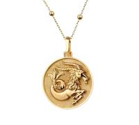 LKBEADS Collar con colgante del signo zodiacal Capricornio en |LK_NLC_00492 | Joyería moderna para el día a día delicado disco martillado regalo para ella con cadena de 45 cm (18 pulgadas) de plata.