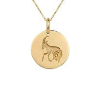 LKBEADS Collar con colgante del signo zodiacal Capricornio en |LK_NLC_01661 | plated round rain cloud lightning pendant with 18 inch cable chain 24mm weather symbol jewelry gift