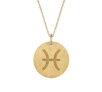 LKBEADS Collar con colgante del signo zodiacal Piscis en |LK_NLC_00872 | heart one 1 etched paw pet pride pendant animal love charm simple dog cat jewelry with 18 inch chain