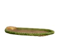 LKBEADS green jade 2mm round shape smooth cut gemstone beads 7 inch adjustable stacking bracelet with gold plated lock for unisex.#Code- LCBR-3312