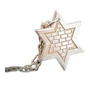 LKBEADS Plata de ley 925 | Collar Magen David | Judaica | Con cadena de 45 cm. Tamaño: 24 mm | Estrella de Jerusalén, baño de plata judía, joyería unisex hecha a mano | LK_PNK_02503