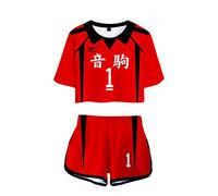 LKY STAR Anime Haikyuu Cosplay Karasuno High School Voleibol Club Camiseta Pantalones Cortos del Verano Chándal De 2 Unidades Trajes