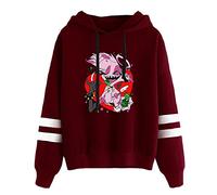LKY STAR Hombre Mujer Sudadera con Capucha Hazbin Hotel Hoodie Unisex Casual Sweater Charlie/Vaggie/Angel Dust Streetwear