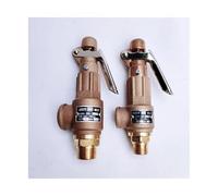 LKYAQJKGQ Válvula con Mango for Tanque de presión, válvulas Alivio y Temperatura Tipo Resorte, 1 Uds(3-10bar)