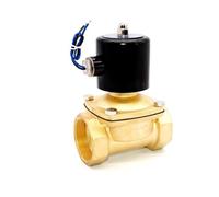 LKYAQJKGQ Válvula solenoide de Agua de 2 Pulgadas, 12 V, DN50, 2W-500-50, NPT G, latón, Normalmente Cerrada, Alta Temperatura, NBR, -5-80 Grados(2inch Npt,24VDC)