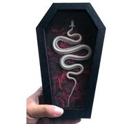 LKYLVEE Arte de Pared de Esqueleto de Serpiente - Modelo de Huesos de Animales - Arte Único Gótico de Esqueleto de Serpiente para Hogar u Oficina,A6