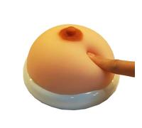 LKYLVEE Flesh,13cm, Modelo de Mama de simulación - Modelo de enseñanza de formación en Lactancia mamaria Falsa - para la educación, Herramienta de enseñanza de la Lactancia, formación en enfermería