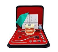 LKYLVEE Juego de Herramientas de práctica de Tablero Perforado de Goma de Goma Kit de dique de Goma de endodoncia Dental con Modelo de Dientes,Flesh