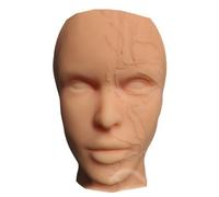 LKYLVEE Modelo de Cabeza Vascular esquelética cosmética Menor Entrenamiento de inyección Modelo de Cabeza de Silicona para Entrenamiento de práctica médica,Flesh,25cm