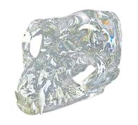 LKYLVEE Modelo de Dientes Canino Felino Perro Gato Tipodonto Oral Modelo de Dientes Transparentes Clínica Veterinaria Diente Anatómico para Clínicas Veterinarias,Cat Head