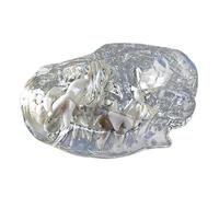 LKYLVEE Modelo de Dientes Canino Felino Perro Gato Tipodonto Oral Modelo de Dientes Transparentes Clínica Veterinaria Diente Anatómico para Clínicas Veterinarias,Dog Head