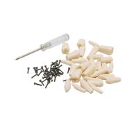 LKYLVEE Modelo de Dientes dentales Tipo tipodonte Removibles 28/32 para Practicar técnicas restaurativas,28 pcs Teeth