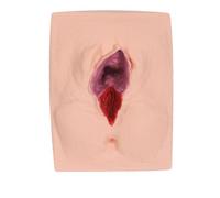 LKYLVEE Modelo de Práctica de Incisión en Vulva Femenina y Sutura Perineal, Simulador de Entrenamiento en Sutura de Vulva, Simulador de Práctica para la Enseñanza de Ginecología