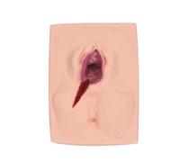 LKYLVEE Modelo de Práctica de Incisión en Vulva Femenina y Sutura Perineal, Simulador de Entrenamiento en Sutura de Vulva, Simulador de Práctica para la Enseñanza de Ginecología