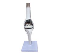 LKYLVEE Modelo de Rodilla Cartílago Artificial Modelo de Articulación de Rodilla Prótesis Modelo de Reemplazo de Rodilla Modelo de Menisco,B,15cm