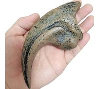 LKYLVEE Velociraptor Dinosaurio Tamaño Natural Garra Fósil Réplica Dinosaurio Réplica Fósil Decoración para Casa Oficina Decoración Artesanía Enseñanza Prop,Marrón,14cm