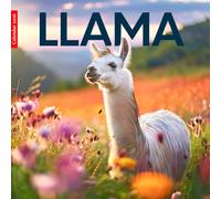 Llama 2026 Calendar: Adorable Llamas in Beautiful Photography - A Year of Smiles, Farm Life, and Country Charm