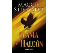 Llama Al Halcon: Trilogia De Los Soñadores. Libro 1