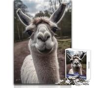Llama sonríe a la cámara Rompecabezas de 1000 Piezas para Adolescentes Divertido Juego cognitivo de Aprendizaje reflexivo Tamaño 38x26cm