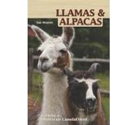 Llamas And Alpacas (ebook)