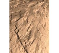 Llana texturizada con asa de tela para hormigón estampado, cemento, mortero, monocapa, Tematización, reproducir e imitar lo natural Estampado, Decoración