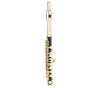 Llave de C Piccolo con Estuche, Piccolo, Grasa para Juntas Ottavino, Bastoncillo de Limpieza, Paño para Pulir y Destornillador, Plateado (GOLD)