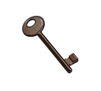 Llave para cerradura AGB Patent color bronce cifrado n.º 9. Abre todas las cerraduras patentes AGB N.9