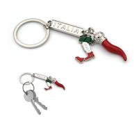 Llavero de bolsillo con anillo porta llaves bandera nacional italiana Italia de metal, accesorio para hombre y mujer, idea regalo, Cromo / Verde / Blanco / Rojo, Talla única