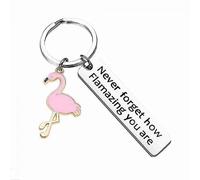 Llavero de flamenco: Nunca olvides lo increíble que eres. Llavero, joyería, regalo para amantes de los llaveros.