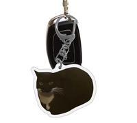 Llavero de gato: lindos sonidos de llanto haciendo ganchos de llave de gato plátano | Ganchos de llave de acrílico lindos 2D para bolso, bolso, bolso, mochila, accesorios migno, Llavero pequeño gato