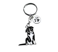 Llavero de perro BT Bear, llavero de metal con etiqueta de identificación para perro, llavero con dije de bolsa, S