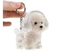 Llavero de recuerdo de pelo de perro en miniatura, caja conmemorativa transparente segura para la pérdida de mascotas, joyería para coleccionistas, accesorios de joyería conmemorativa