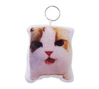 Llavero divertido | Funny Keyring Gift | Funny Best Friend Keyring Friendship | Backpack Decor Collectible Keyring For Women Teens Kids Boys Girls Boyfriend Girlfriend, Reversal Of The Cat, Se référer
