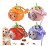 Llavero para mascotas genérico Keepsake - Llavero universal para mascotas memorial, Clear Collection Keepsake Charm | Personalized Pets Hair Memory Holder For Dog Cat Rabbit Hamster Puppy Medium Large