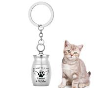 Llavero para urna para animales domésticos - Urn cremación del recuerdo, Memorial | Puerta de cenizas de acero inoxidable, ceniza para mascotas, centésima portátil portátil de Accia