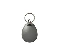 Llavero RFID de PVC 125 kHz | Multicolor 10 piezas Control de Acceso: 125 kHz Lectura Escritura(10pcs Gray)