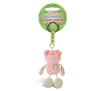 NICI Llavero Talisminis cerdo 7cm rosa-verde - Colgante de peluche de animal con llavero para cordón, llavero y portallaves amuleto de la suerte para bolso con mensaje