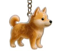 Llavero transparente de almacenamiento de pelo de perro, joyería conmemorativa con recuerdos seguros de pérdida de mascotas, regalo de apoyo emocional, llavero de almacenamiento de pelo de mascotas