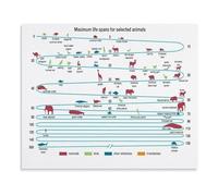 LLBOGRGGN Biology Science Chart Animal Lifespan Educational Poster Wildlife Canvas Wall-Art for Classroom Home Library Decor(Framed,16x24inch(40x60cm))