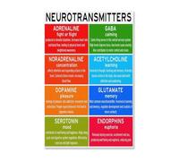 LLBOGRGGN Brain Chemistry Educational Poster, Neurotransmitters & Mental Health Infographic, Psychology Student Study Guide, Canvas Wall Art for Classroom, Home(Unframed,12x18inch(30x45cm))