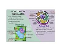LLBOGRGGN Classroom Biology Decor Animal Plant Cell Poster Science Educational Art Canvas Print Office Wall-Art Bedroom Decor Homeschool Learning Wall Chart(Unframed,12x18inch(30x45cm))