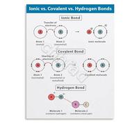 LLBOGRGGN Covalent Hydrogen Bonds Chart Chemistry Educational Poster Science Wall-Art for Advanced Learning(Unframed,12x18inch(30x45cm))