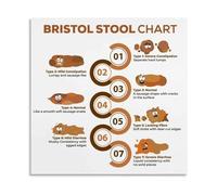 LLBOGRGGN Digestive Health Chart Poster Bristol Stool Scale Educational Guide Bathroom Wall-Art Funny Home Decor(Unframed,12X18inch(30X45cm))