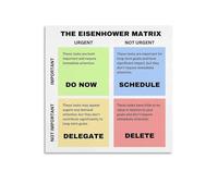 LLBOGRGGN Eisenhower Method Poster Time Management Grid Organizational Tool Office Decor Print Motivational Wall-Art for Entrepreneur Planner Home(Unframed,08x12inch(20x30cm))
